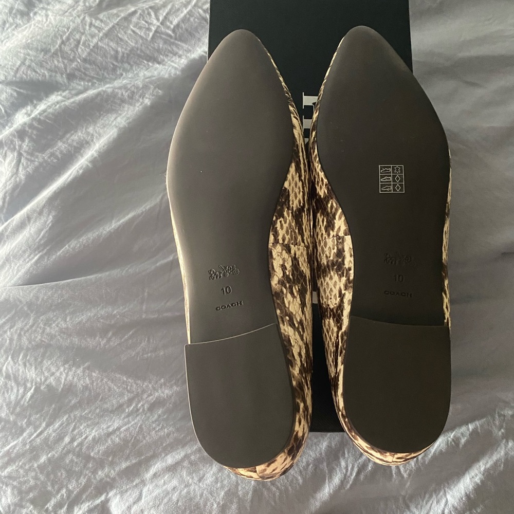 Coach flats